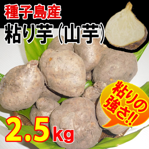 粘り芋(山芋) 2.5kg